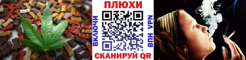 купить наркоту  Дубовка  Cannafood конопля 