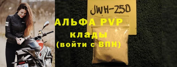 spice Богданович