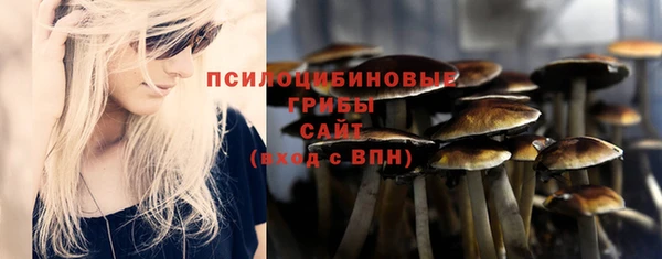 ГАЛЛЮЦИНОГЕННЫЕ ГРИБЫ Богородск