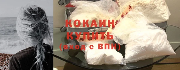 spice Богданович