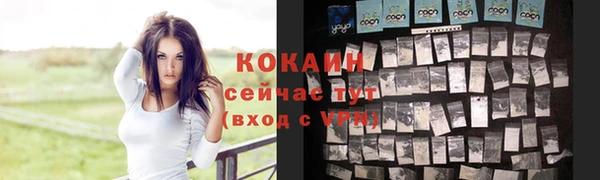spice Богданович