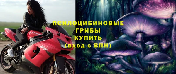ГАЛЛЮЦИНОГЕННЫЕ ГРИБЫ Богородск