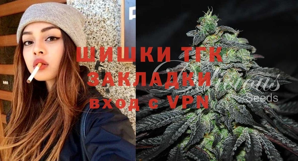 spice Богданович
