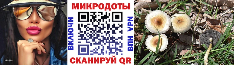 Псилоцибиновые грибы мицелий  как найти   Дубовка 