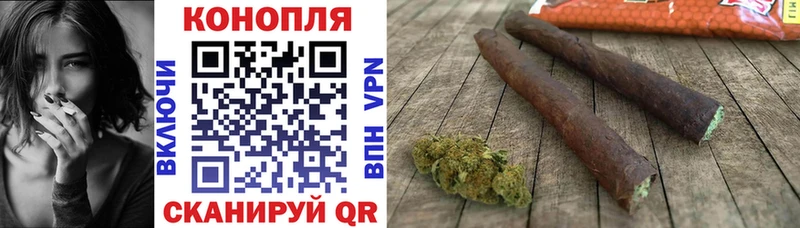 Канабис план  закладки  Дубовка 